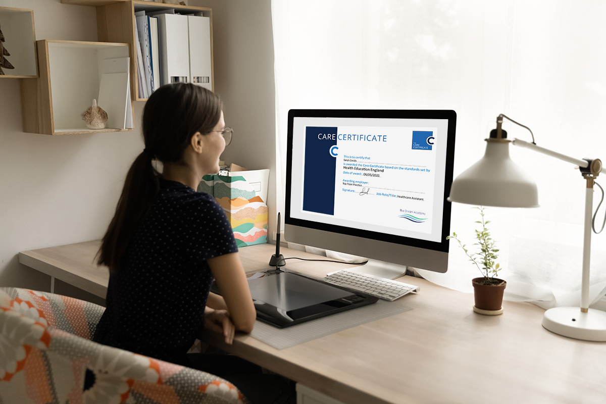 BSA News Headline: Care Certificate Standards | eLearning & Assessment